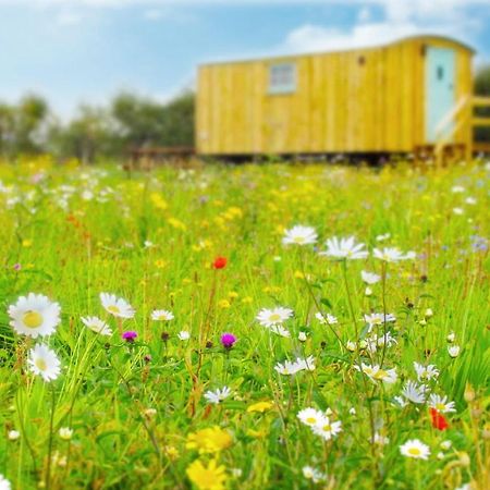 Honeysuckle Farm Holidays By Stay In Suffolk, Monk Soham وودبريدج المظهر الخارجي الصورة
