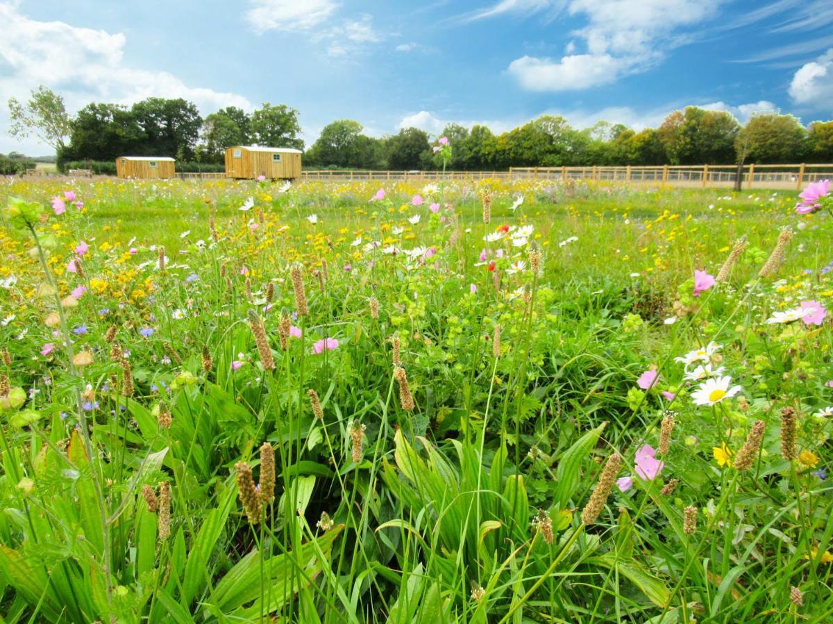 Honeysuckle Farm Holidays By Stay In Suffolk, Monk Soham وودبريدج المظهر الخارجي الصورة