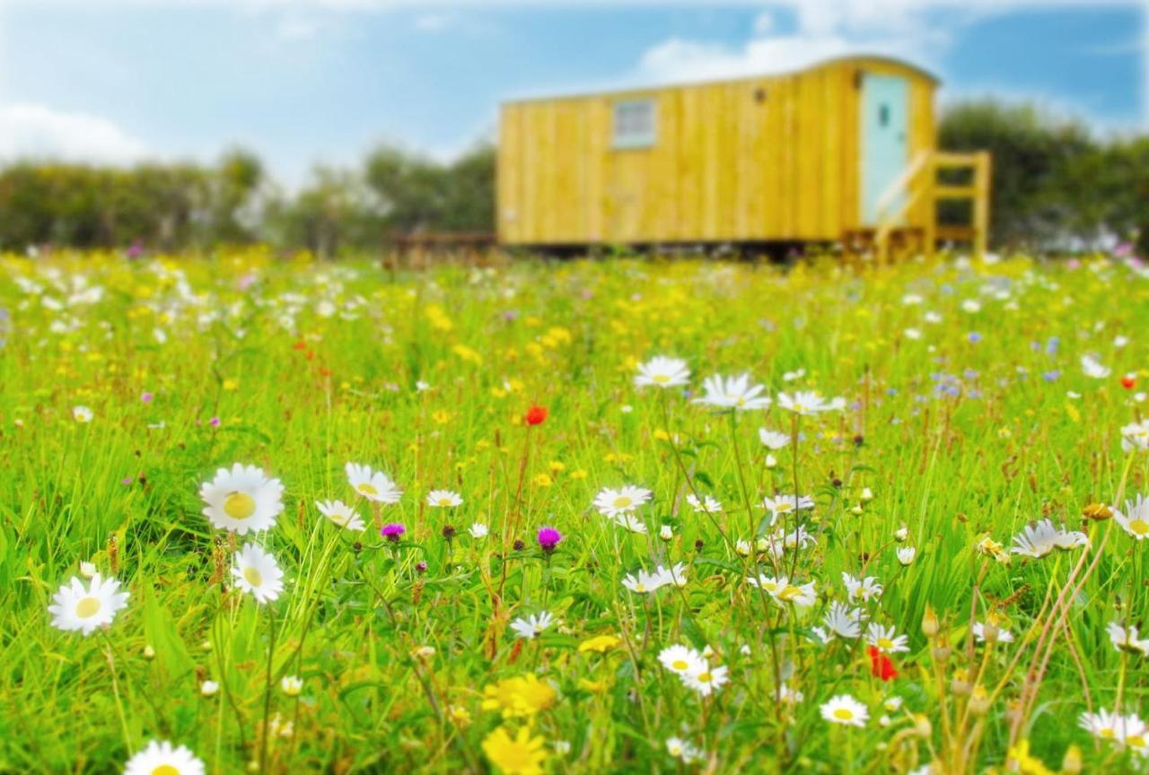 Honeysuckle Farm Holidays By Stay In Suffolk, Monk Soham وودبريدج المظهر الخارجي الصورة